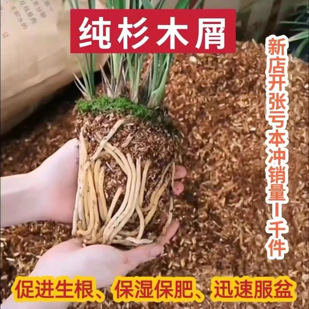 慧扬  兰花专用土 纯杉木屑  兰花通用型居家兰花植料