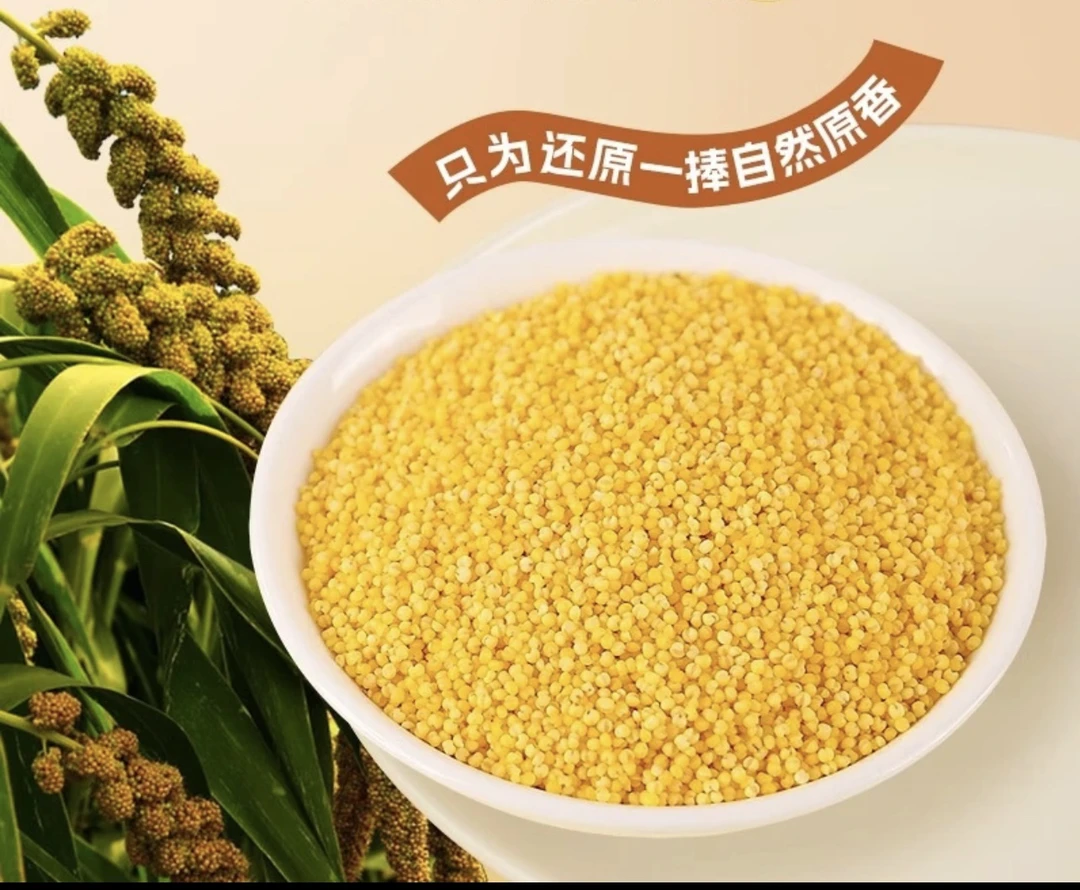 新黄金小米色泽金黄美味香醇！