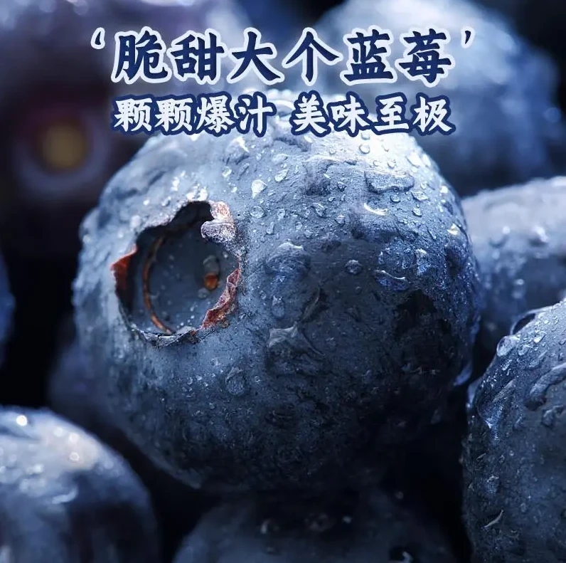 张万森果业 蓝莓125g