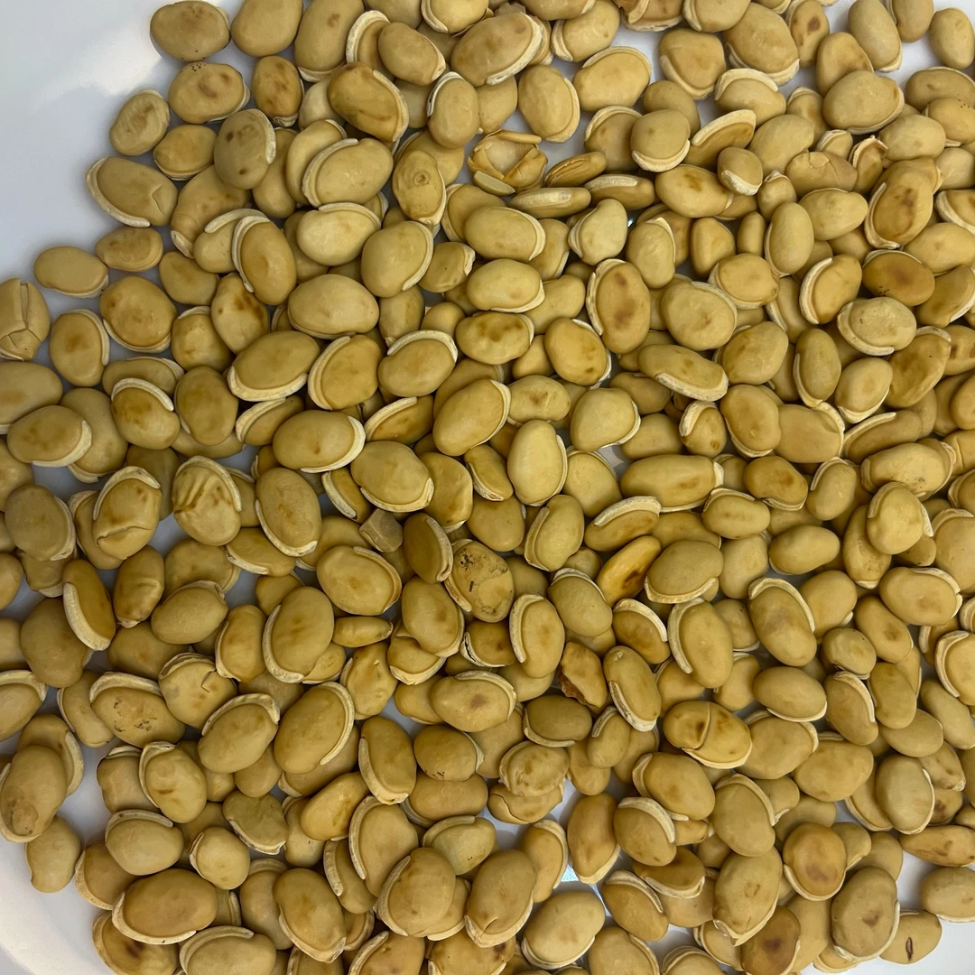 【嘉珈精选】炒扁逗食用农产品