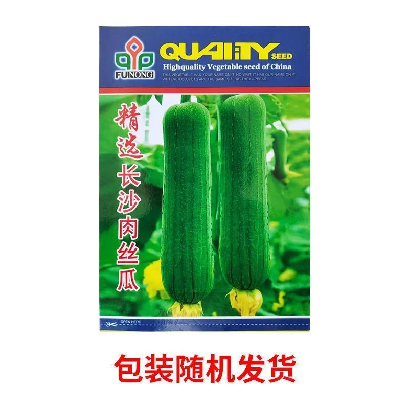 好吃肉丝瓜种子四季丝瓜种籽耐高温快速结果植盆栽蔬菜白苗秧大果