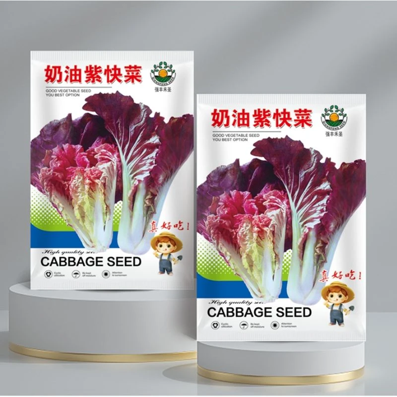 正宗奶油紫快菜种子四季阳台盆栽种植白菜紫叶菜懒人当季速生种籽