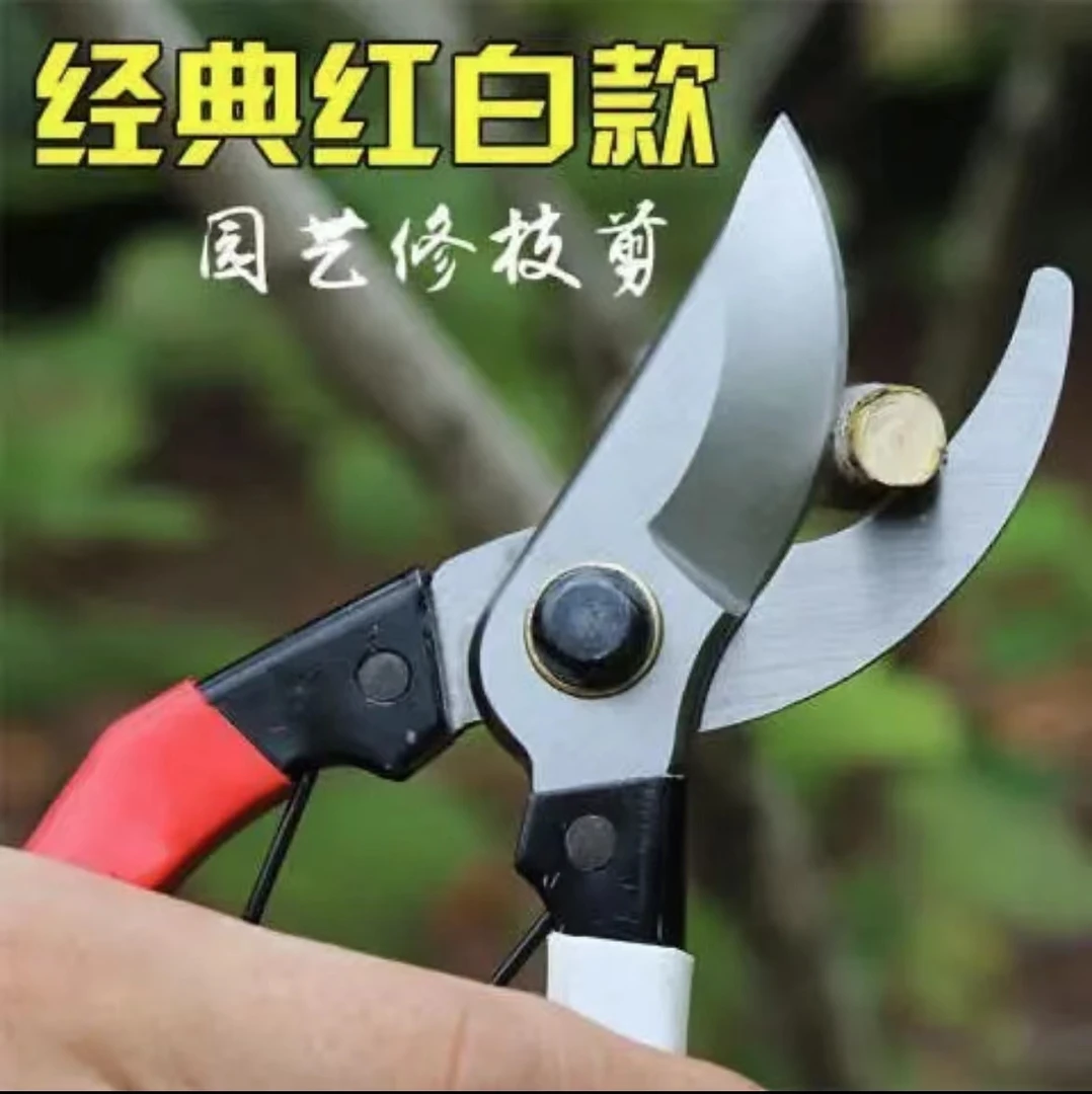 【主播专属】修枝剪园艺剪园艺工具剪刀修花剪枝嫁接