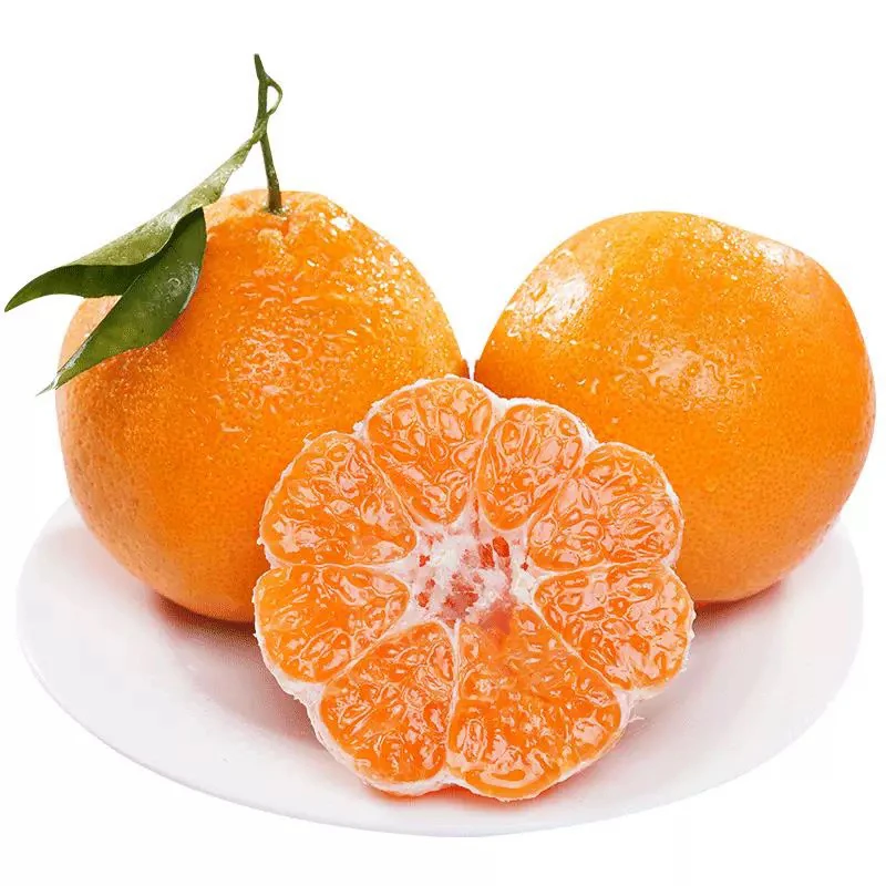 春节耙耙柑13.8元一斤