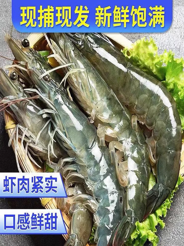 【真心推荐】2030型号 到手4斤海捕大虾一斤10到15只到手50左右