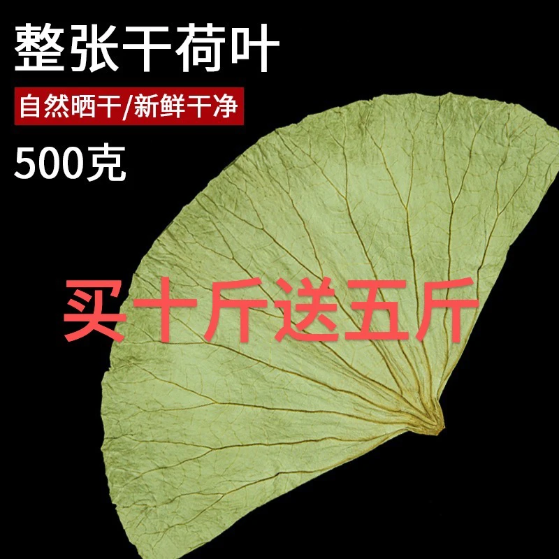 买10斤送5斤精选干净新鲜干荷叶整张叫花鸡木桶饭糯米饭专用批发
