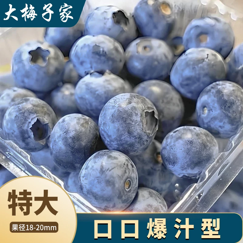 [蓝莓特大果]18-20mm现摘现发 应季新鲜蓝莓  酸甜爆汁100g/盒