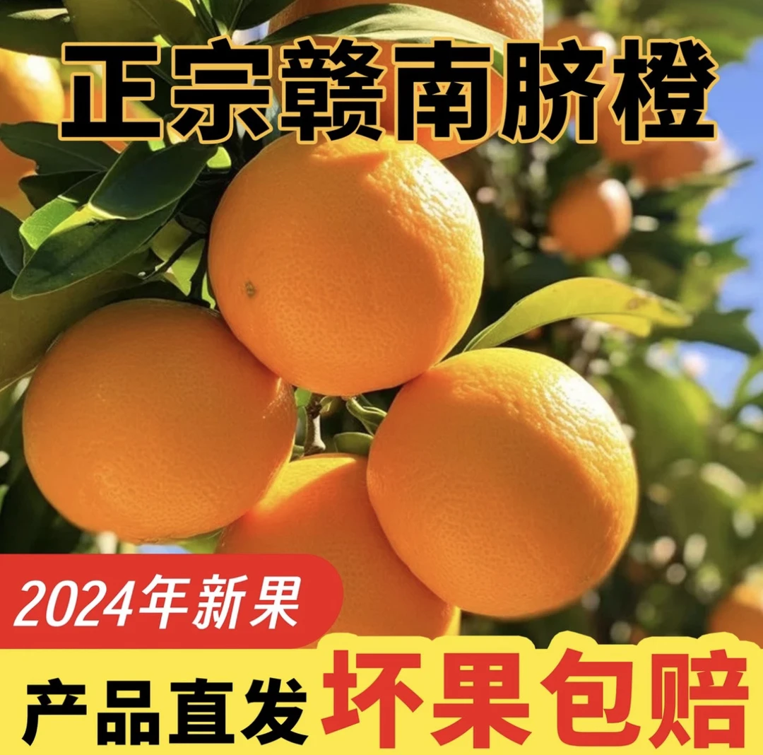 正宗赣南脐橙新鲜现摘