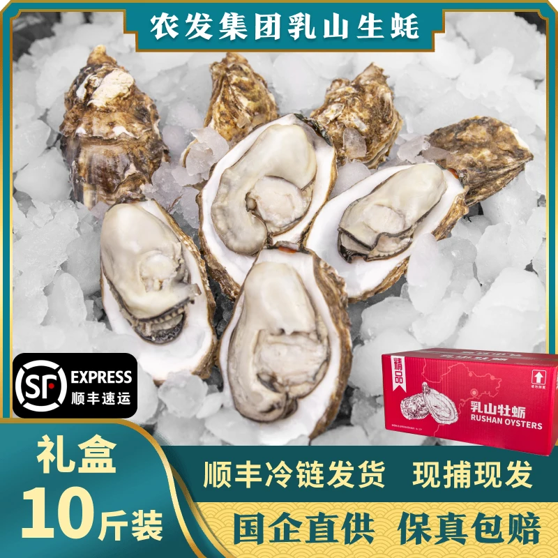 精【礼盒10斤装】国企出品鲜活乳山生蚝牡蛎（农发集团）