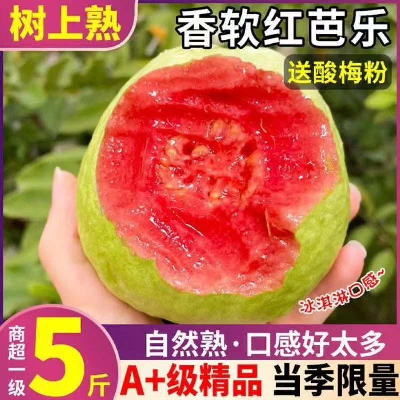 广西软心甜脆红心番石榴新鲜水果香软芭乐红软糯鸡屎果香甜饱满
