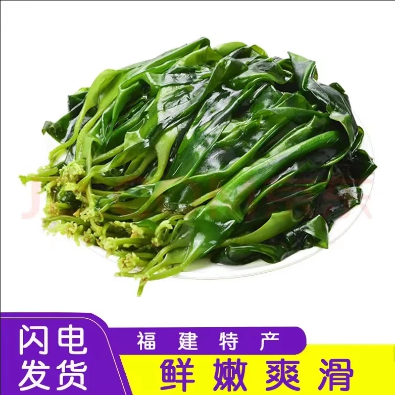 福建特产霞浦海带苗2500g