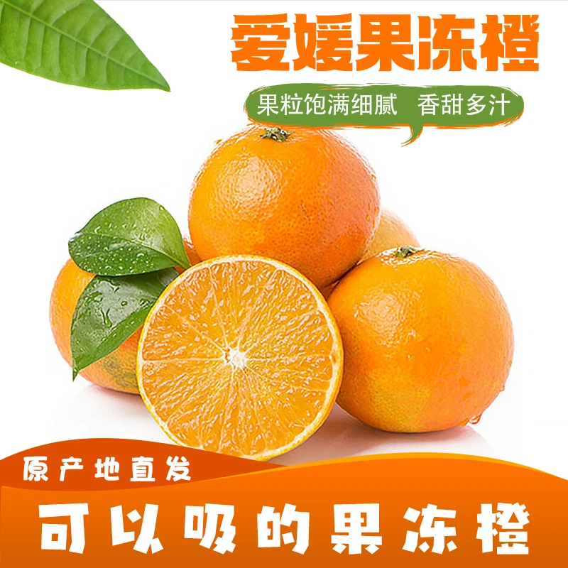 正宗爱媛38果冻橙  皮薄肉厚 新鲜应季水果  果园直达 现摘现发