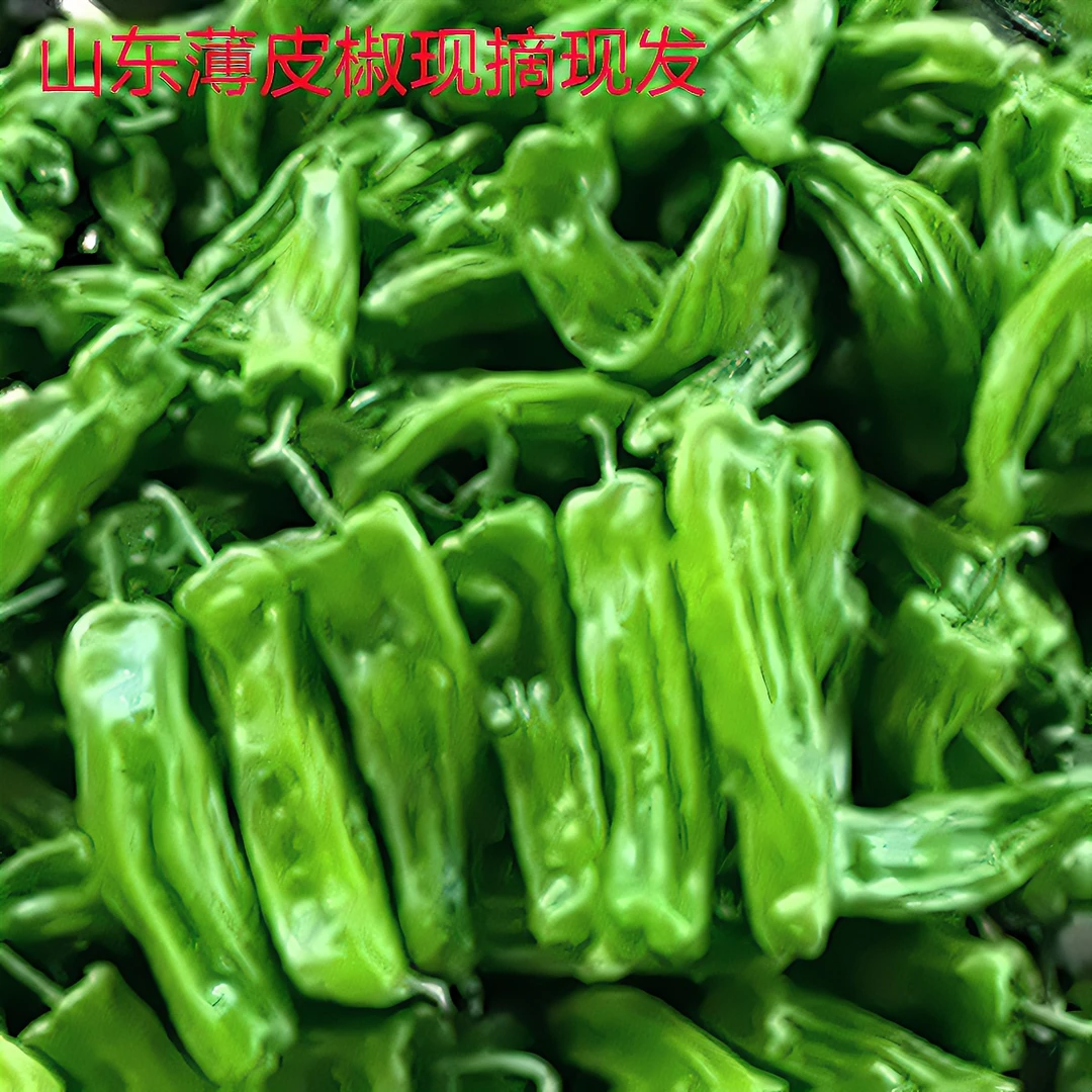 【手工甄选】现摘薄皮辣椒微辣青椒农家自种新鲜蔬菜