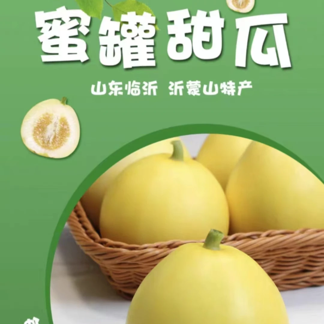 沂蒙山头茬甜蜜小蜜蜂甜瓜甜瓜甜蜜脆嫩绵密特别香甜新鲜香瓜