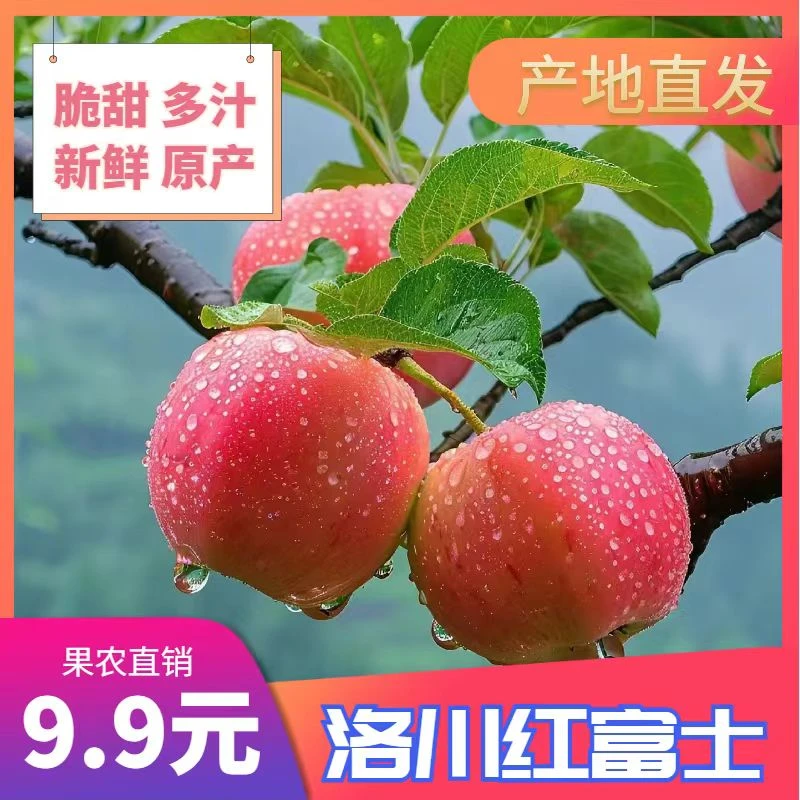 正宗陕西洛川红富士苹果3斤装脆甜多汁产地直发