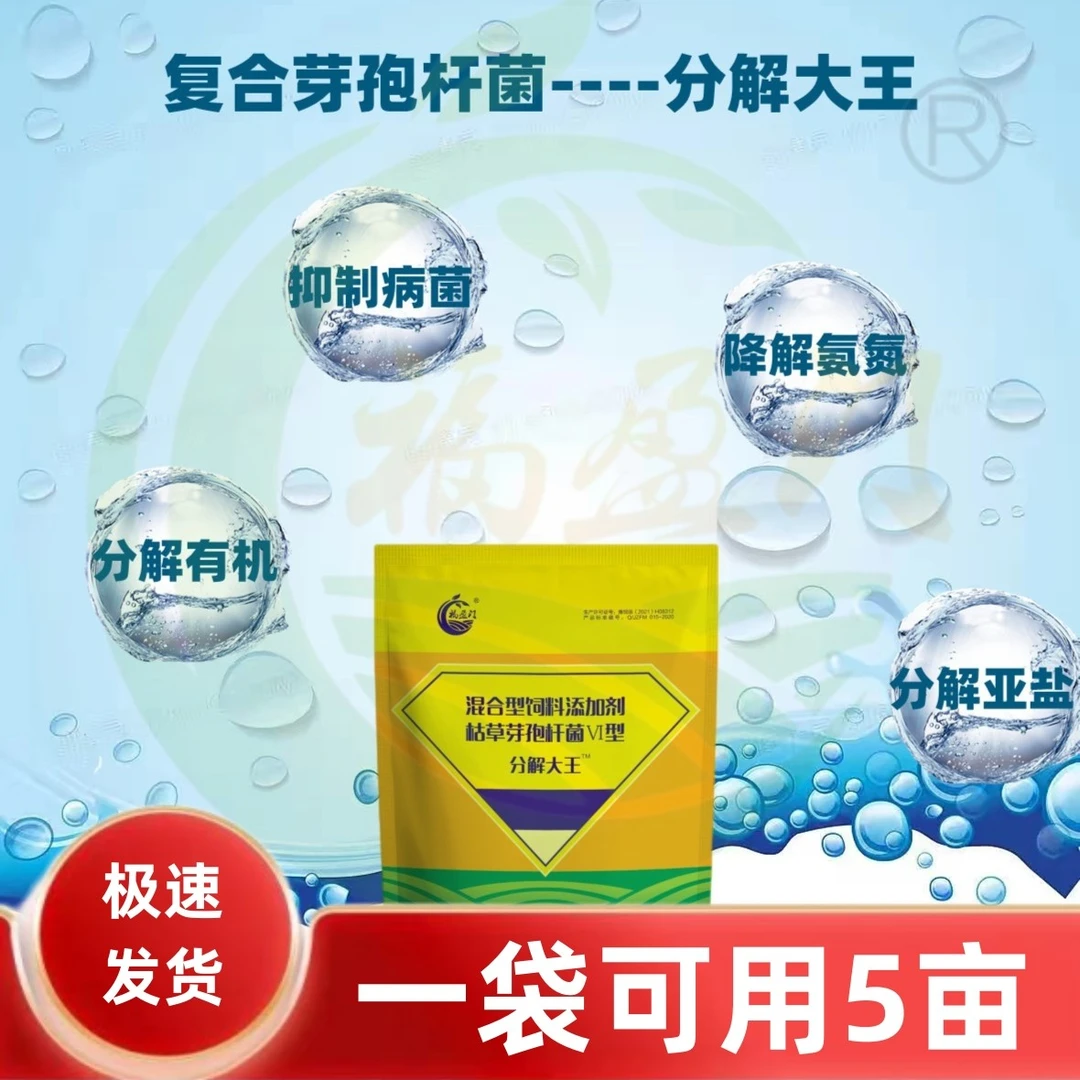 水产养殖用复合芽孢杆菌分解有机物降解氨氮鱼虾蟹水质净化剂产品