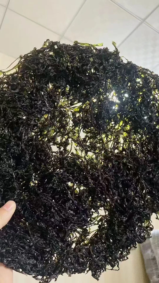 南澳正宗头水新紫菜
