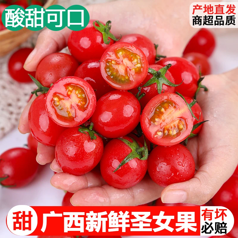 新鲜广西爆汁圣女果小番茄5斤新鲜自然熟水果生吃千禧西红柿