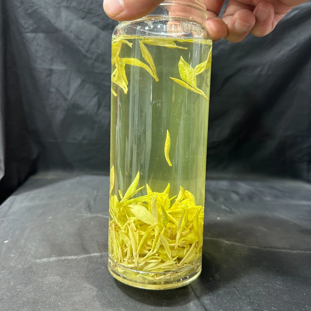 【霞姐】（极白J-55）2024年明前高山极白