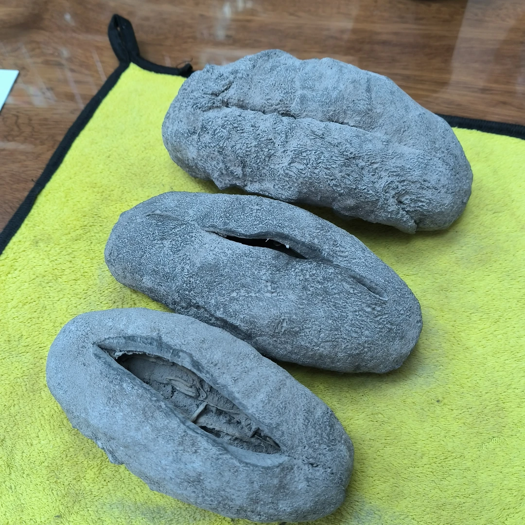 [足干货]2.5头黑猪婆*蓝肉猪婆参*酒店酒席喜宴水发海参干货500g