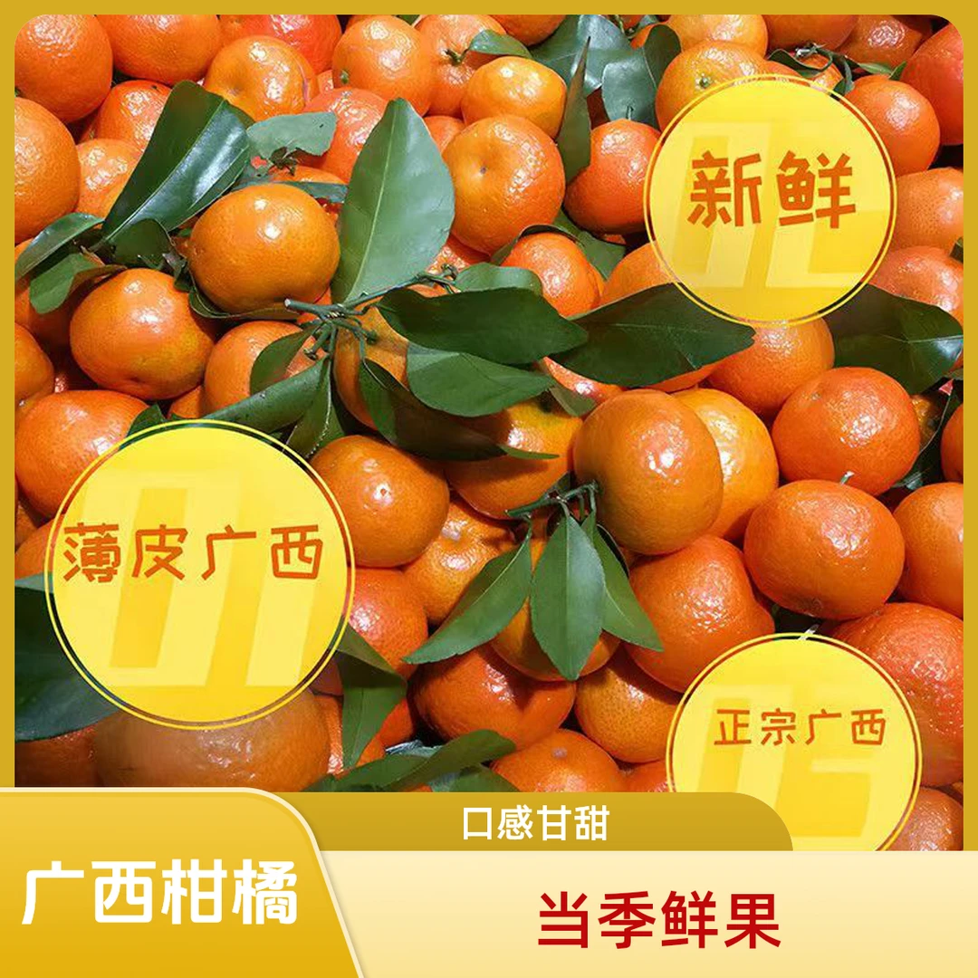 广西当季水果砂糖橘