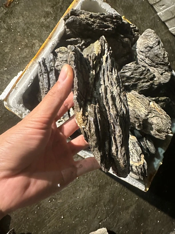 青龙石5-25公分长100斤