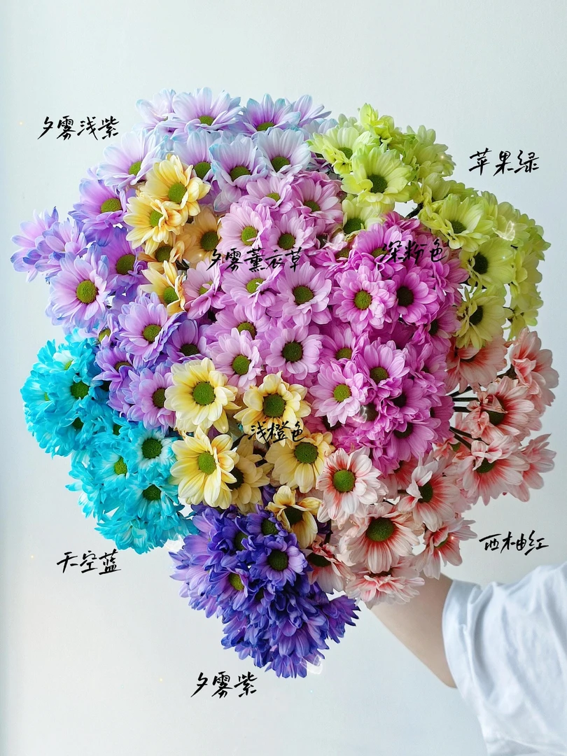 超长待机混色吸色小雏菊多巴胺色系