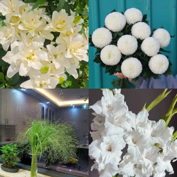 婵之语优选天秤座鲜花组合4件套