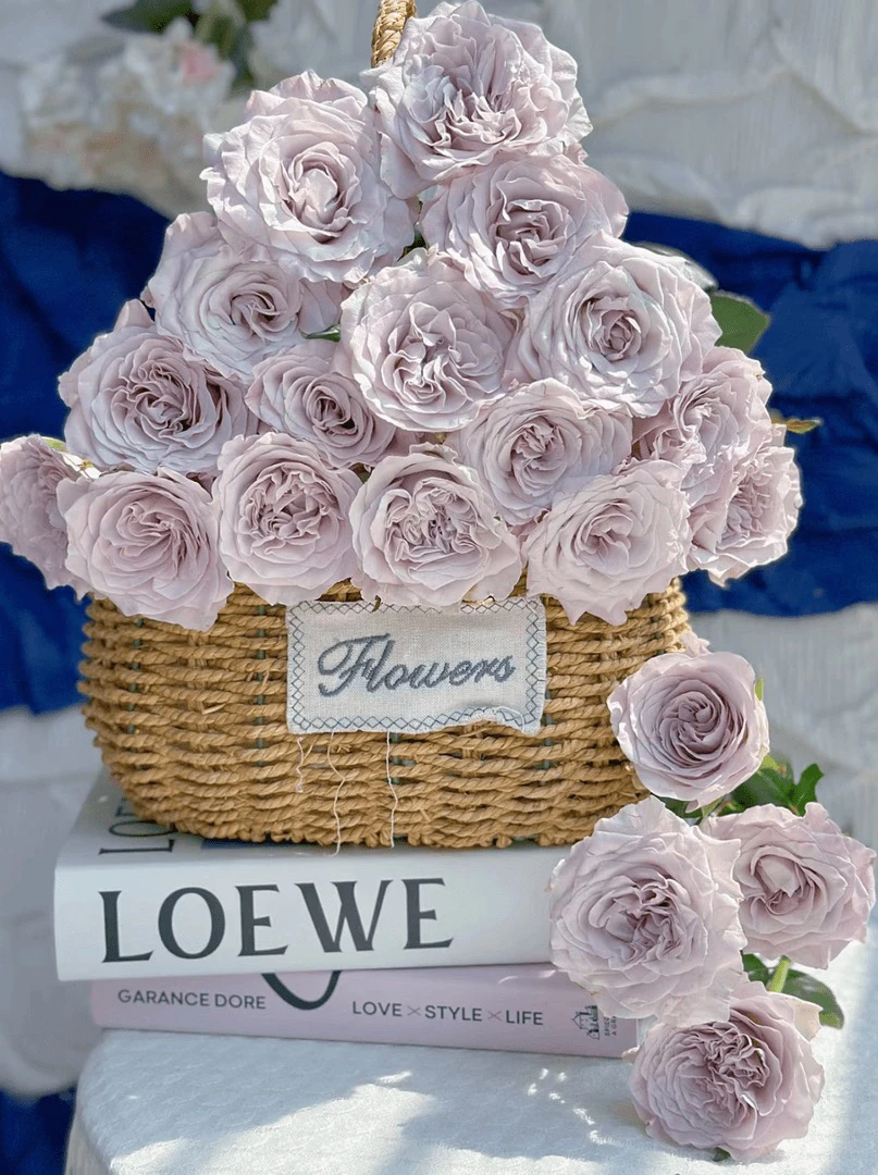 稀有小众貂蝉玫瑰