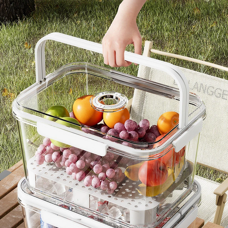 手提保鲜盒密封收纳防虫防尘便携式户外野餐零食水果收纳盒