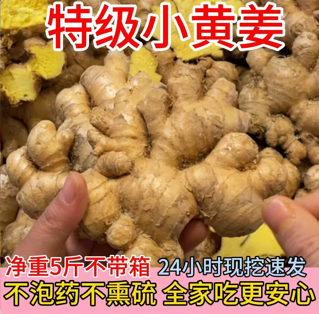 【现挖秒发】正宗广西高山小黄姜新鲜现挖生姜新姜老姜嫩姜月子姜