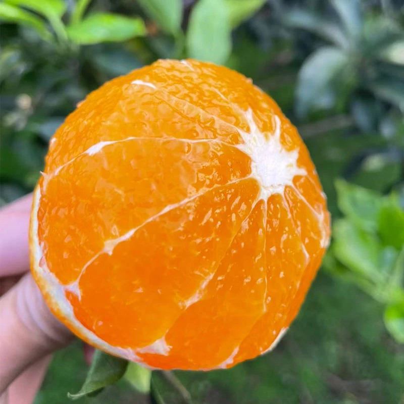 [顺丰]四川眉山爱媛38号果冻橙手剥橙无籽爆汁新鲜橙子2/5/9斤