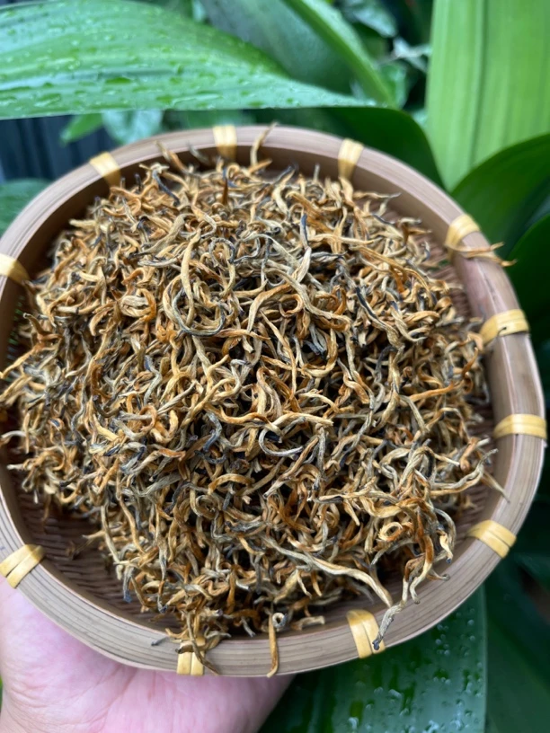 星火推荐.～云南2024年～一类古树蜜香金丝滇红