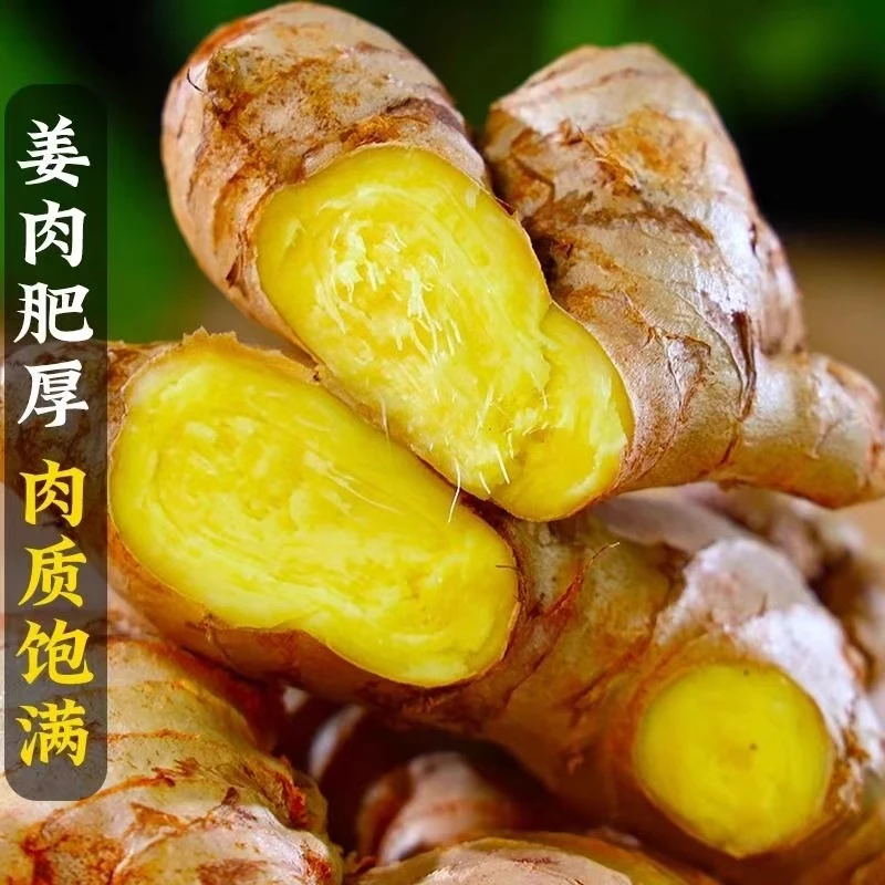 云南文山农家小黄姜新鲜生姜现挖新姜土姜产地直发