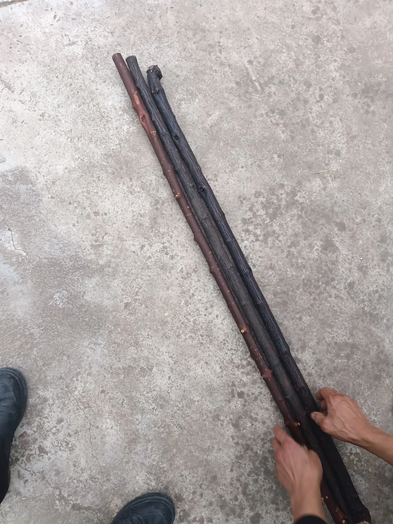 鞭干,武术棍,黑铁藤