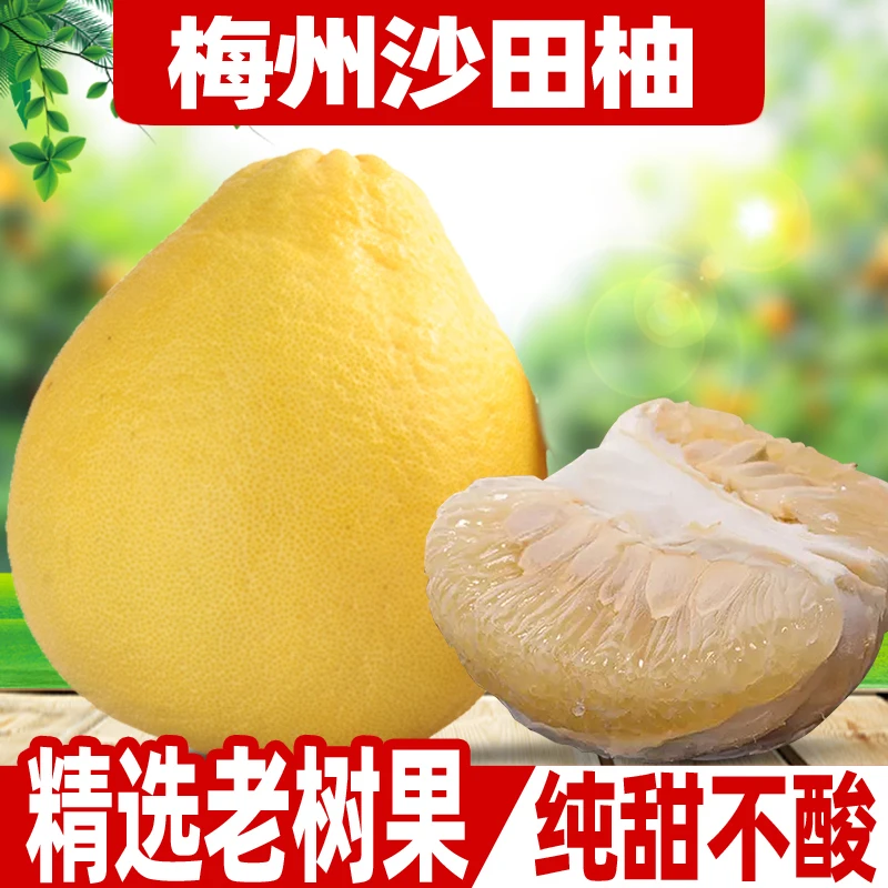 【正宗】广东梅州纯甜沙田柚纯甜柚子全国包邮新鲜孕妇水果非广西容