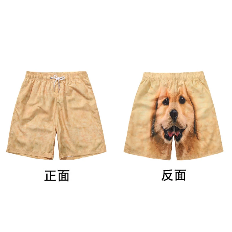 金毛短裤狗狗五分沙滩裤速干运动裤休闲裤时尚情侣印花宽松个性