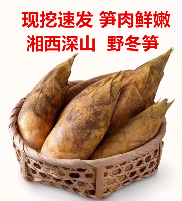 （囤货了）湘西深山冬笋新鲜现挖竹笋当季农家笋毛竹笋正宗