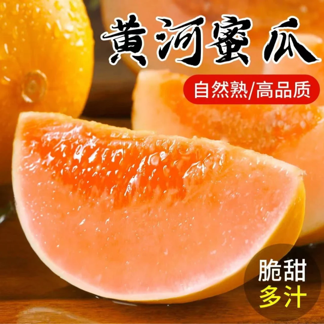 【新鲜采摘】陕西阎良黄河蜜瓜黄白肉随机发货夏季甜瓜 2.5/9斤脆甜