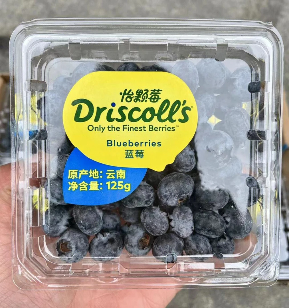 同城配送/怡颗莓蓝莓一盒约125g