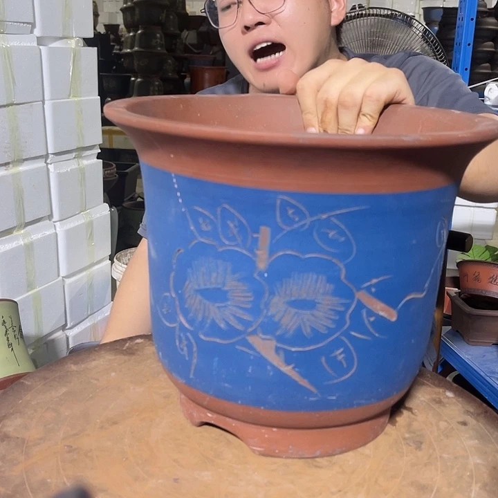 红陶20CM（含）-50CM（不含）蓝梦大