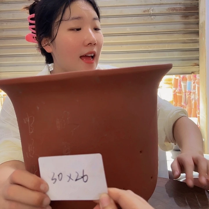 红陶20CM(含)-50CM(不含)紫梦大