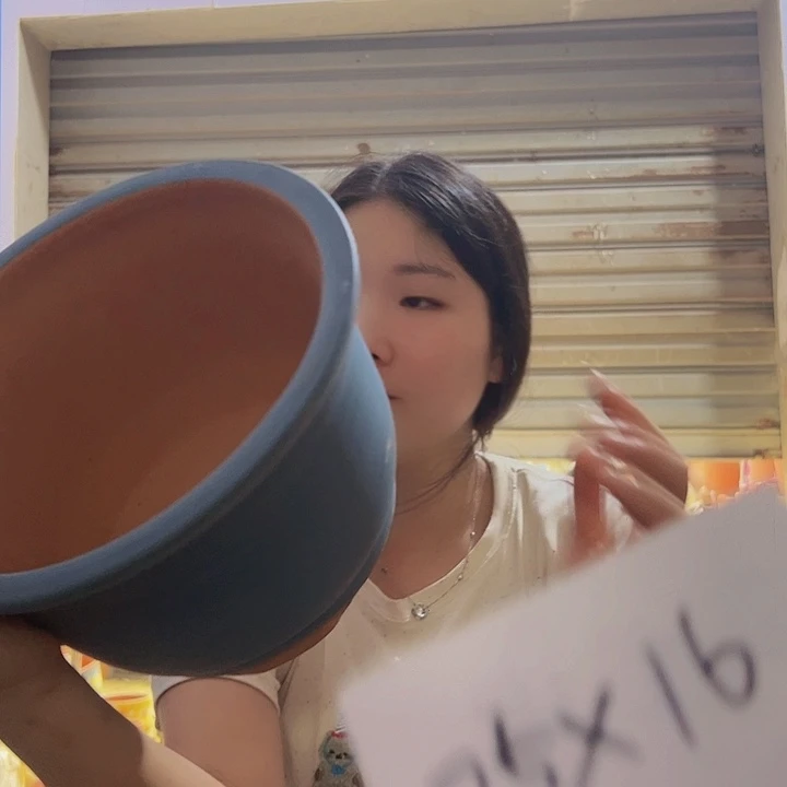 红陶20CM（含）-50CM（不含）蓝龙小