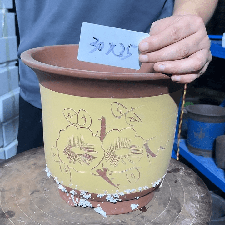 红陶20CM（含）-50CM（不含）黄梦大