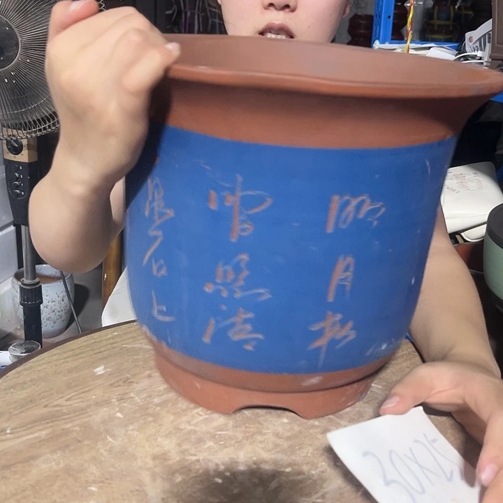 红陶20CM(含)-50CM(不含)蓝梦大