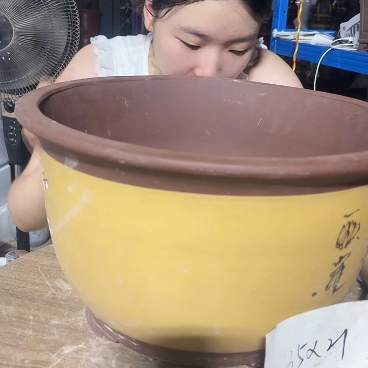 红陶20CM(含)-50CM(不含)t004大