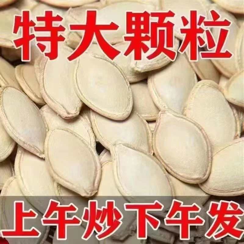 现炒原味南瓜子炒熟椒盐南瓜子五香特大颗粒南瓜籽批发散装零食