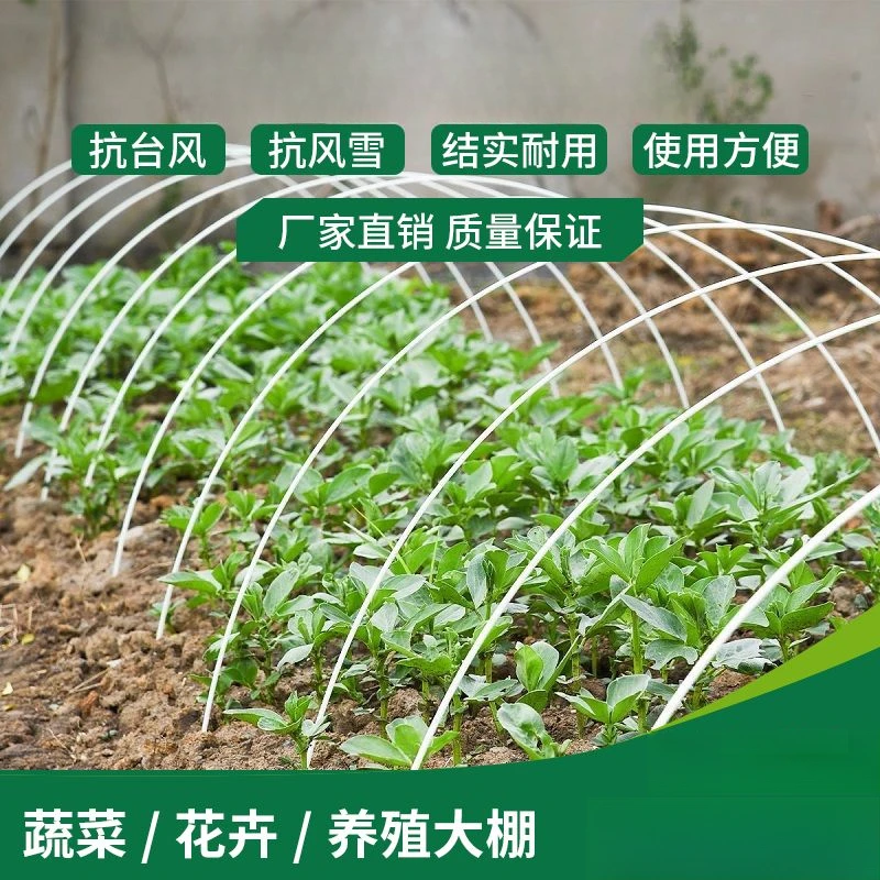新型小拱棚支架拱杆实心玻璃纤维棒塑料温室养殖农用蔬菜大棚骨架