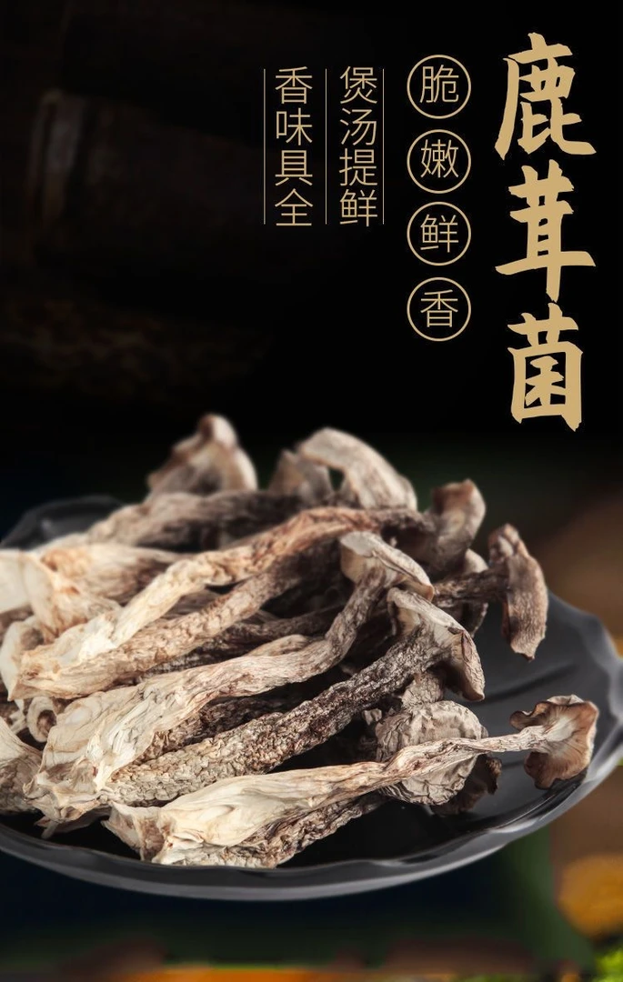 干货鹿茸菇精选肉质肥厚鲜香脆嫩爽口干锅爆炒炖汤（新货）
