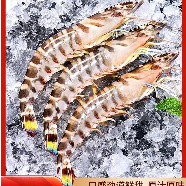 野生小斑节虾/九节虾/花虾（一斤45-50只左右）鲜货速冻发顺丰2斤